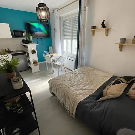Le Sano - Centre Historique, 2mn A Pied Halles De Niort, Donjon, Moulin Du Roc, Et Port Boinot - Wifi, Netflix ,2mn Hyper Centre Niort