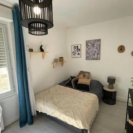 Le Sano - Centre Historique, 2mn A Pied Halles De Niort, Donjon, Moulin Du Roc, Et Port Boinot - Wifi, Netflix ,2mn Hyper Centre Apartman