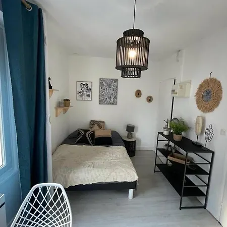 Le Sano - Centre Historique, 2mn A Pied Halles De Niort, Donjon, Moulin Du Roc, Et Port Boinot - Wifi, Netflix ,2mn Hyper Centre