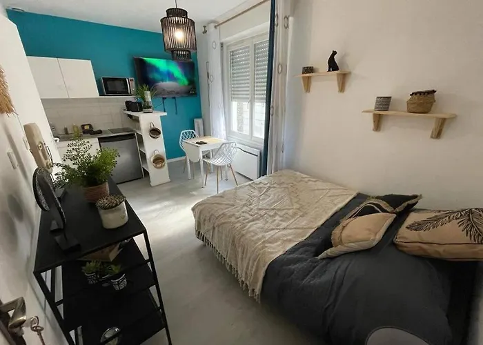 Le Sano - Centre Historique, 2mn A Pied Halles De Niort, Donjon, Moulin Du Roc, Et Port Boinot - Wifi, Netflix ,2mn Hyper Centre Niort