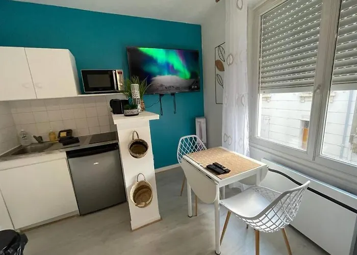 Le Sano - Centre Historique, 2mn A Pied Halles De Niort, Donjon, Moulin Du Roc, Et Port Boinot - Wifi, Netflix ,2mn Hyper Centre Apartamento