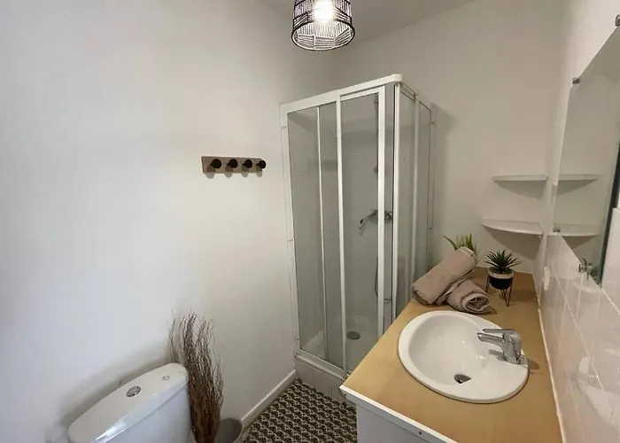 Apartamento Le Sano - Centre Historique, 2mn A Pied Halles De Niort, Donjon, Moulin Du Roc, Et Port Boinot - Wifi, Netflix ,2mn Hyper Centre Niort