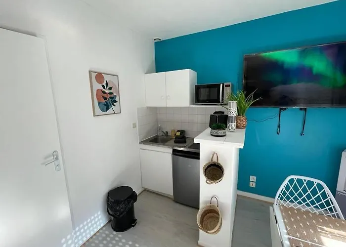Le Sano - Centre Historique, 2mn A Pied Halles De Niort, Donjon, Moulin Du Roc, Et Port Boinot - Wifi, Netflix ,2mn Hyper Centre Apartamento Niort