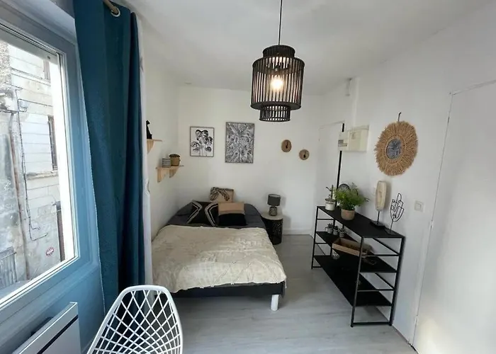 Le Sano - Centre Historique, 2mn A Pied Halles De Niort, Donjon, Moulin Du Roc, Et Port Boinot - Wifi, Netflix ,2mn Hyper Centre